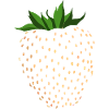 Fraise Fraise