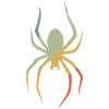Spinne