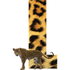 leopard l