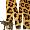 leopard m