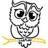 owl