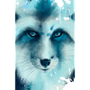 renard