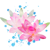 Yoga lotus flowers