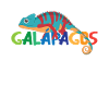 Galapagos Îles Équateur Caméléon Exotique