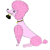 poodle