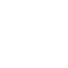 detective