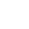 detective