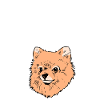 Pomeranian Hundespruch Geschenk