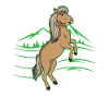cheval Islande