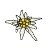 Edelweiss