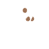 DELETE COOKIES saying itler