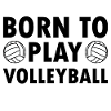 Volleyball volleyball players