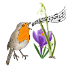 Spring, robins, singing