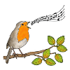 Robin singing, musical notes