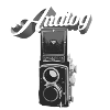Analog Photography