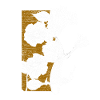 poisson