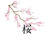 sakura tree flowers with kanji