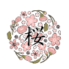 traditonal japanese sakura cherry blossom