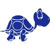 A turtle that takes its time