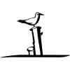 Seagull BIG
