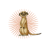 Erdmännchen Natur