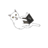 Computer Katze Programmierer