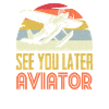 Pilot aviation