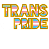 Transgender pride