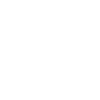 Raven Feather Wings