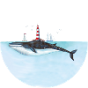 Lighthouse Whale