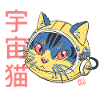 Astro Cat
