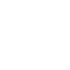 Sauber Meme shirt