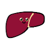 liver