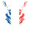Frankreich Flagge Wolf