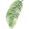 Floral motif - fern