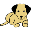 Chien mignon, toutou