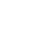 Swordfish skeleton