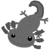 Axolotl