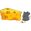Small mouse, big cheese