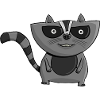 Intense raccoon