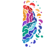 brain