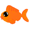 Bébé poisson rouge