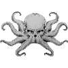 Octopus skull