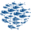 Fischschwarm / Fischschwarm