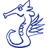 Seahorse