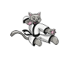 Jiu Jitsu Karate Cat