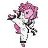 Jiu Jitsu Karate Einhorn