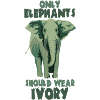 Elephant ivory