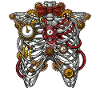 Steampunk-Anatomie