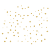 Motif marguerite belles fleurs